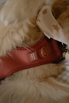 Classic 2.0 Harness Chestnut