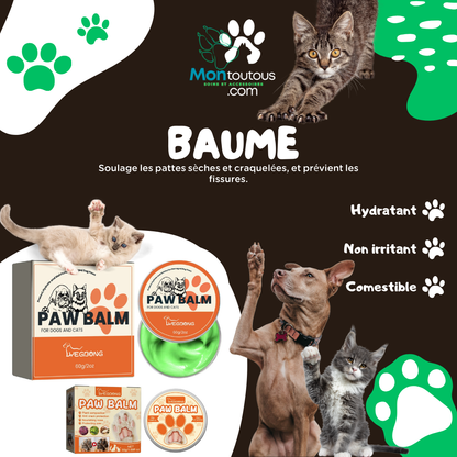 Paw Balm for Dogs and Cats – Clearance while supplies last