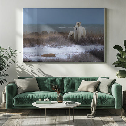 Art mural Ourse et ses oursons, baie d'Hudson en arrière-plan