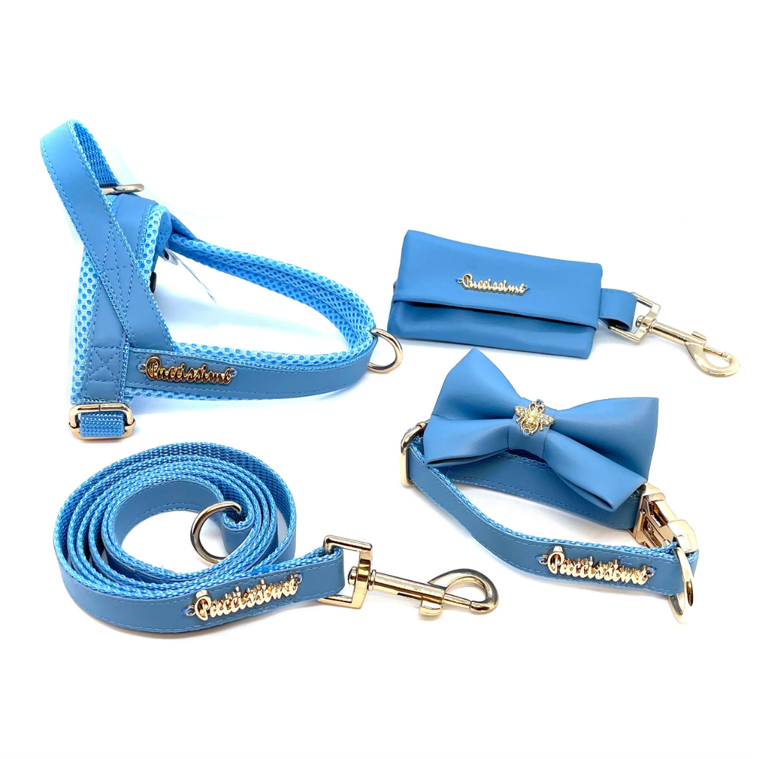 Laisse bleu maya avec extension mains-libres
