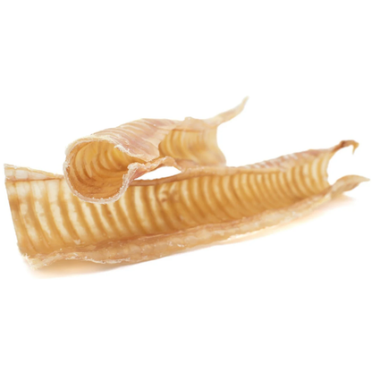 Trachée de bœuf de 30 cm