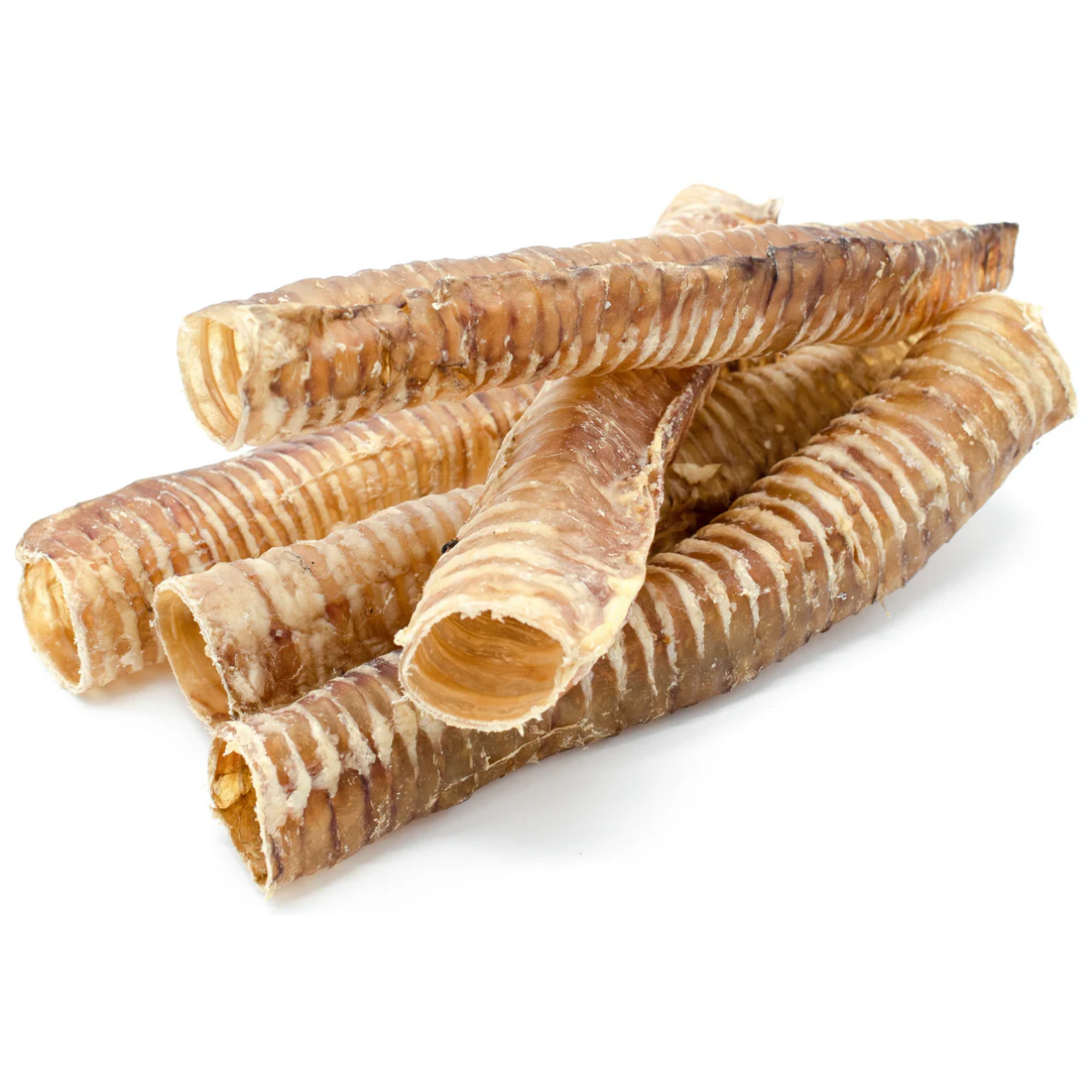 Trachée de bœuf de 30 cm