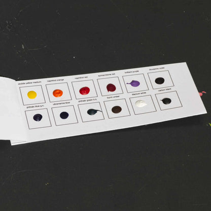 Carte d'échantillons aquarelle Tri-Art Professional 12 points