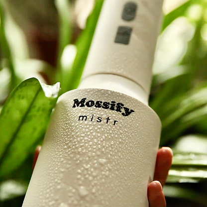 Le brumisateur Original Mossify™