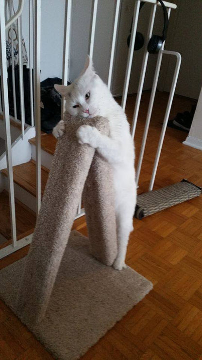 Model 12 - 23" A-Frame Scratch Post.