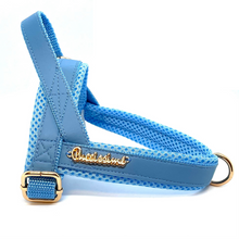 Harnais pour chien à un clic Maya Blue
