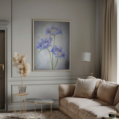 Scabieuse d'Art Mural