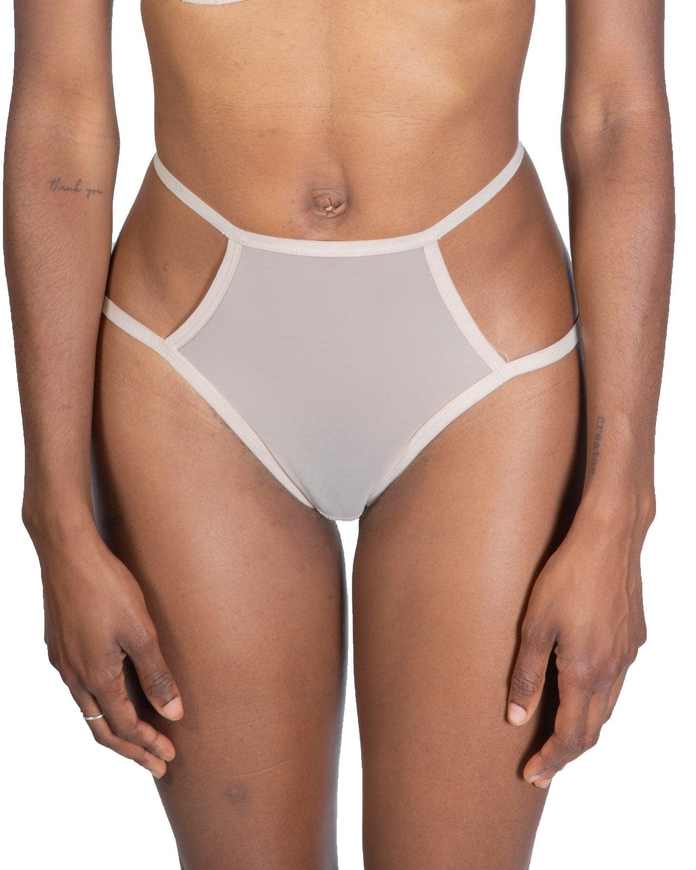Sheer Mesh Briefs, Teja