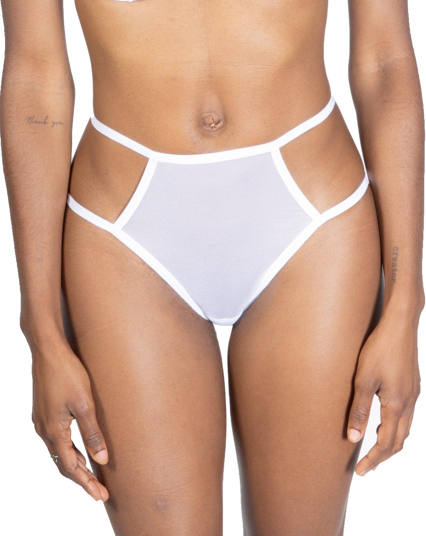 Sheer Mesh Briefs, Teja