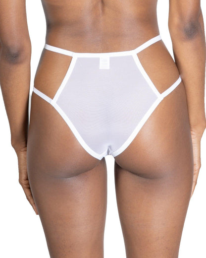 Sheer Mesh Briefs, Teja