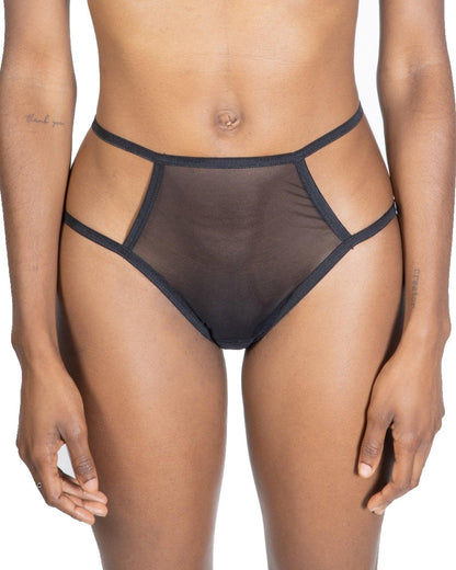 Sheer Mesh Briefs, Teja