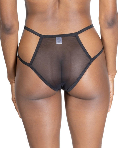 Sheer Mesh Briefs, Teja