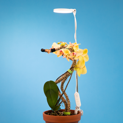 Lampe horticole LED réglable de 28 pouces