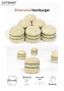 Hamburger à l'actinidia