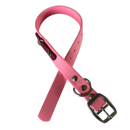 Biothane dog collar - Handmade in Quebec