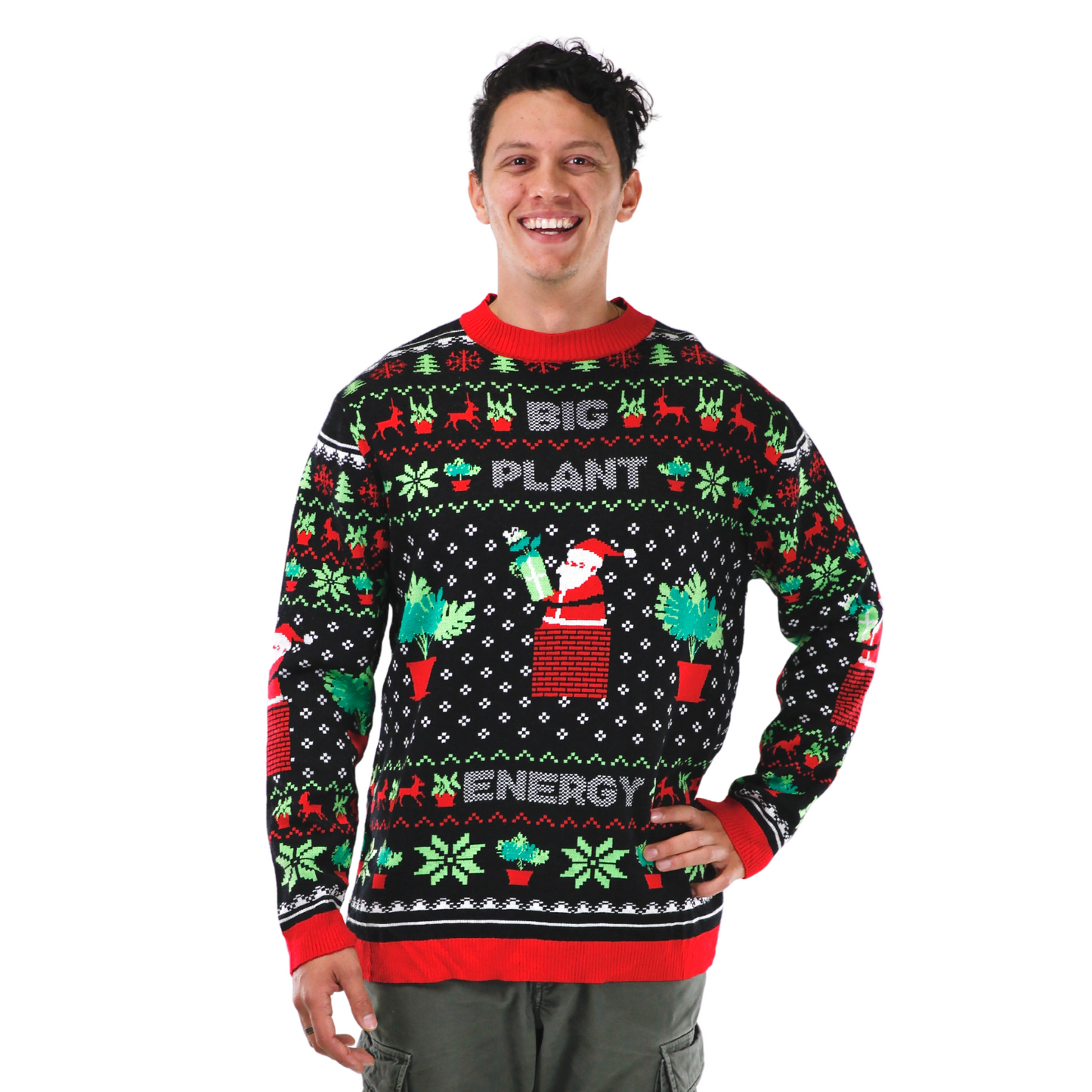 L'ÉNERGIE DES GRANDES PLANTES - Le pull de Noël moche
