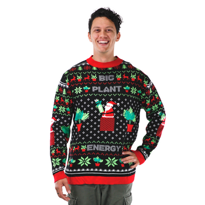 L'ÉNERGIE DES GRANDES PLANTES - Le pull de Noël moche