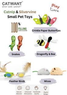 Jouets pour petits animaux à base d'herbe à chat/vigne argentée