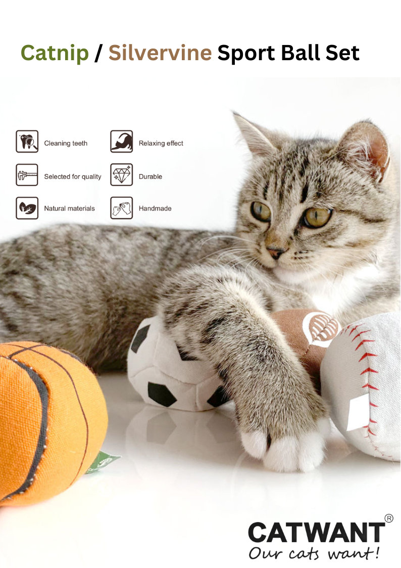 Ensemble de 4 balles de sport 100 % remplies d'actinidia/d'herbe à chat