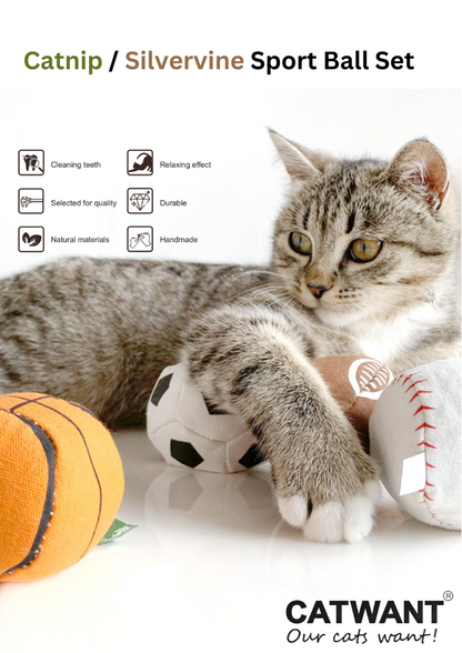 Ensemble de 4 balles de sport 100 % remplies d'actinidia/d'herbe à chat