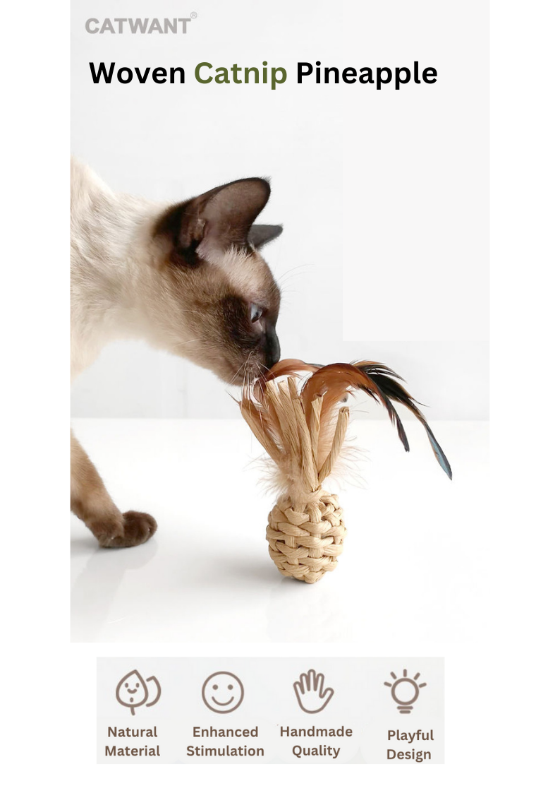 Ananas tressé à l'herbe à chat