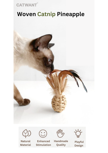 Ananas tressé à l'herbe à chat