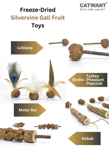 Freeze Dried Silvervine Gall Fruit Toys