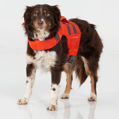 Gilets de sauvetage NRS CFD pour chiens, taille XL