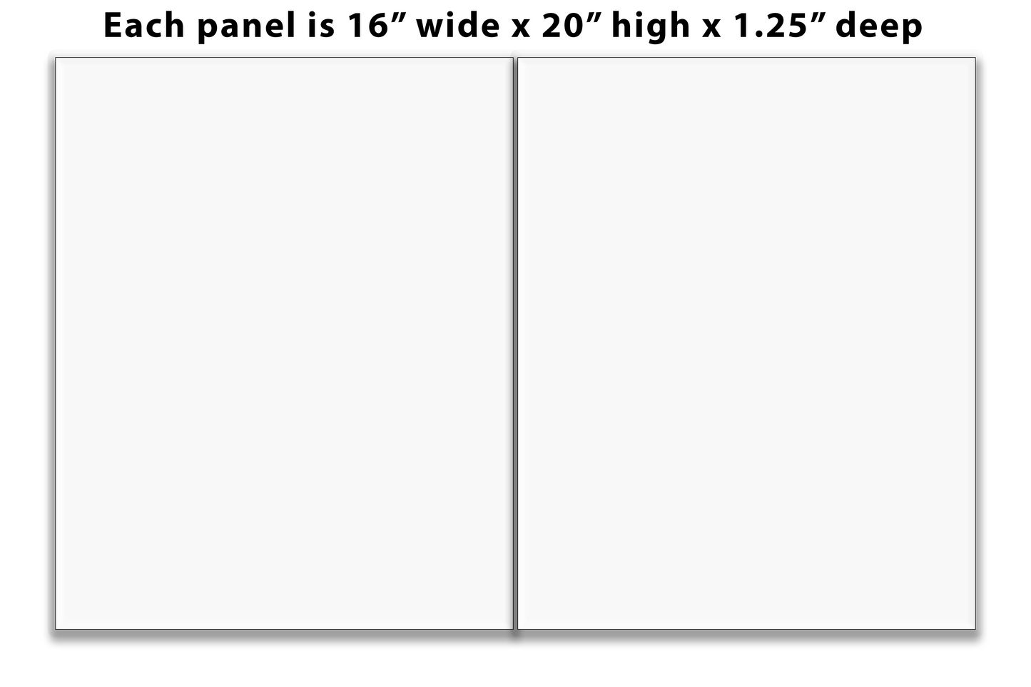 Split Canvas Prints Diptych 16" x 20" each panel