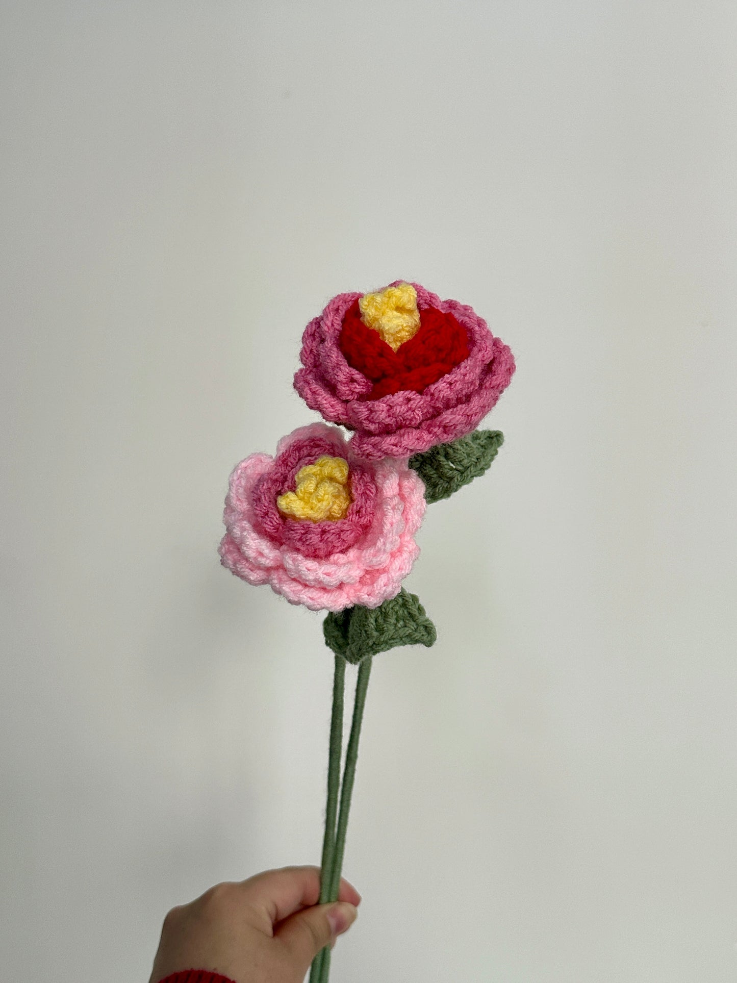 Crochet Peonies (Handmade Multi-coloured flowers)