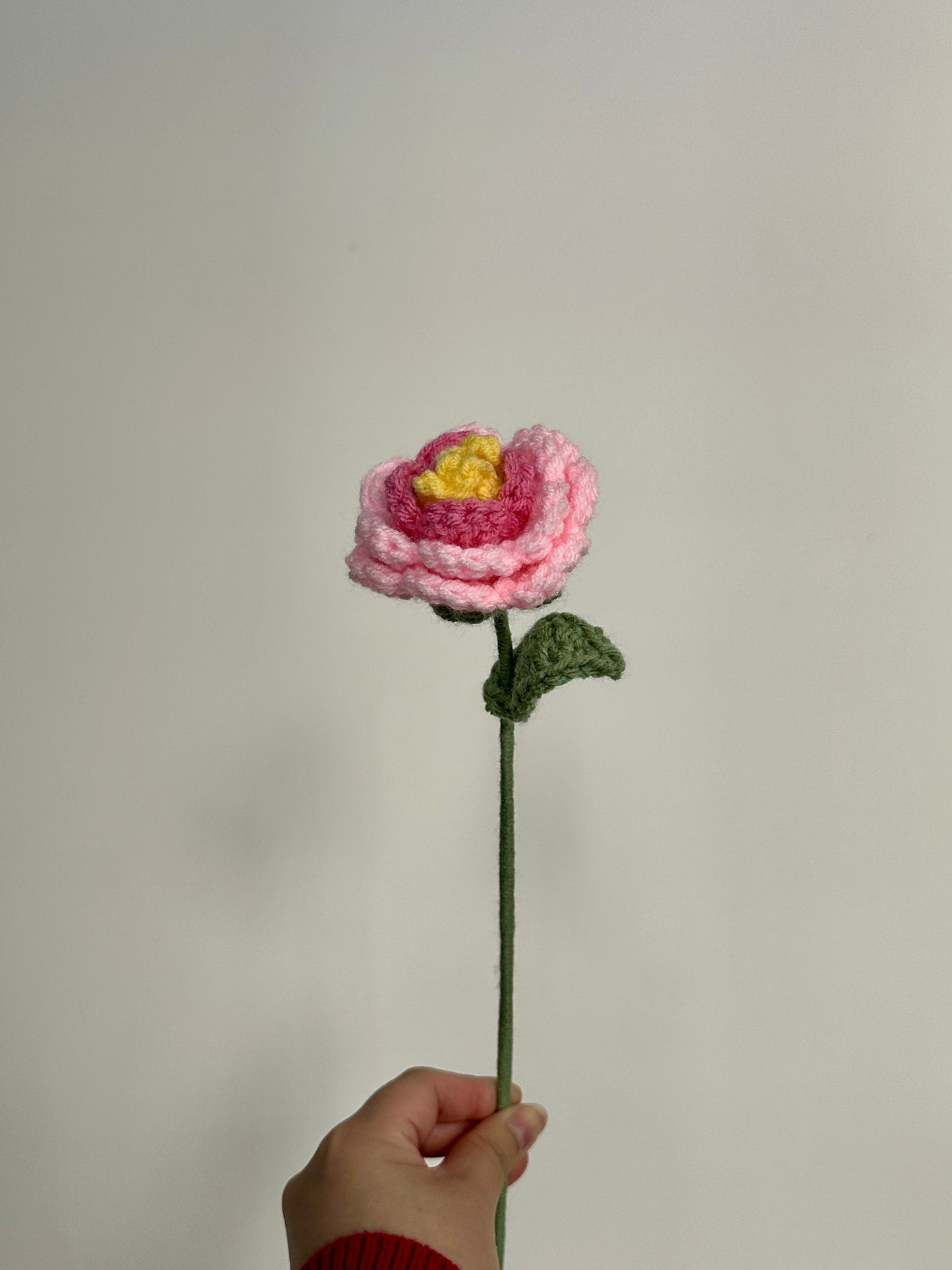 Crochet Peonies (Handmade Multi-coloured flowers)
