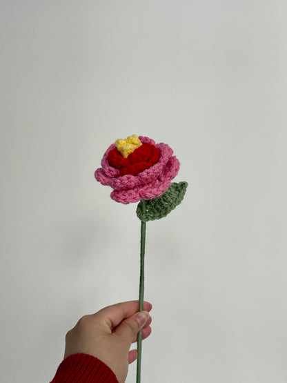 Crochet Peonies (Handmade Multi-coloured flowers)