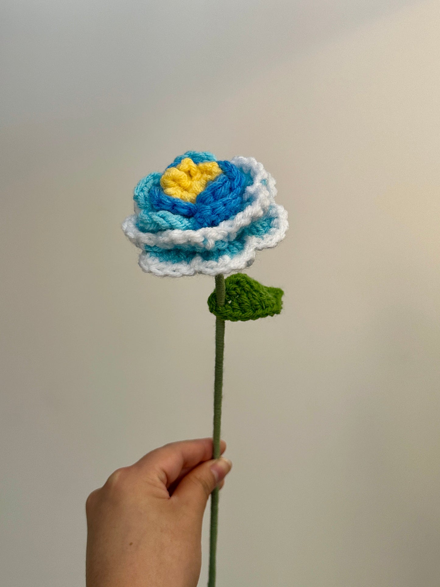 Crochet Peonies (Handmade Multi-coloured flowers)