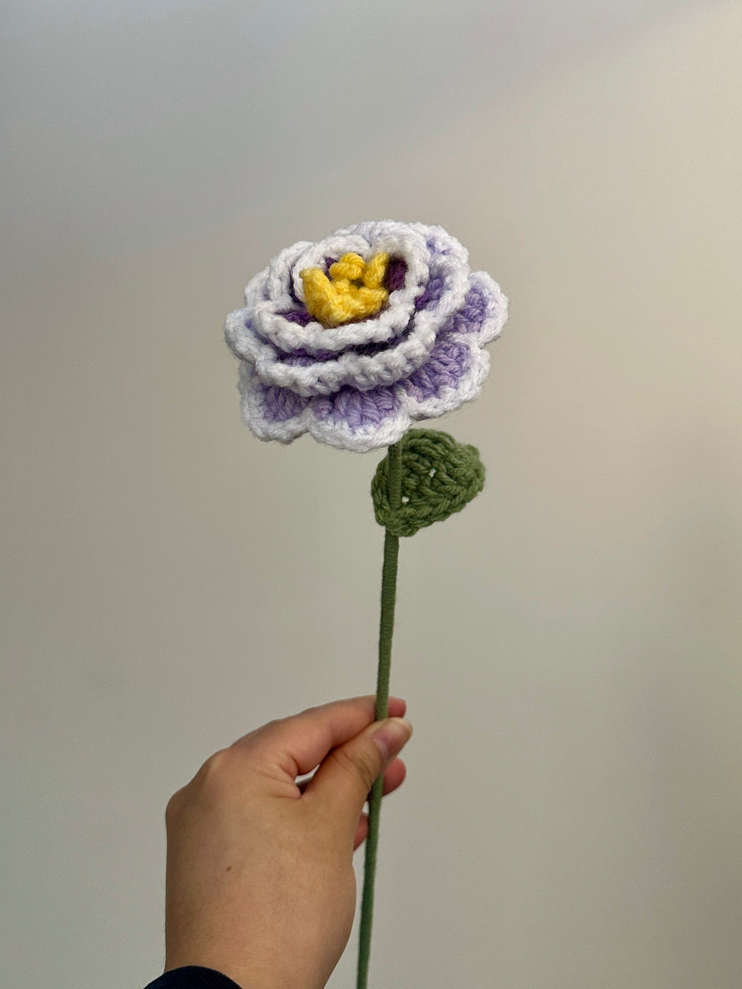 Crochet Peonies (Handmade Multi-coloured flowers)