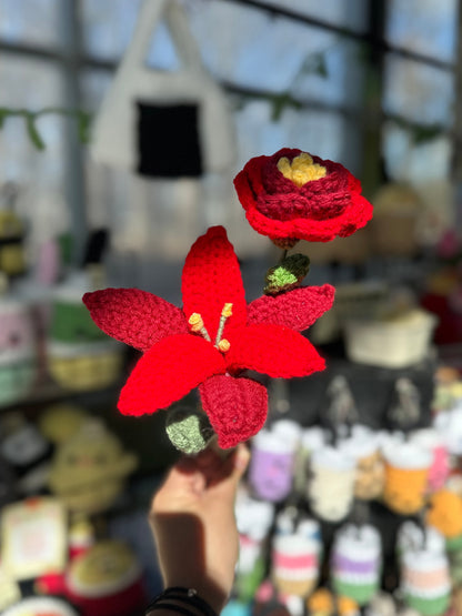 Crochet Peonies (Handmade Multi-coloured flowers)