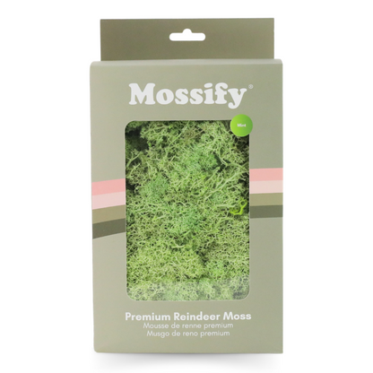 Mousse de renne stabilisée de qualité supérieure