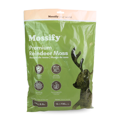Sachet de Mousse de Rennes Premium