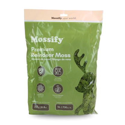 Sachet de Mousse de Rennes Premium