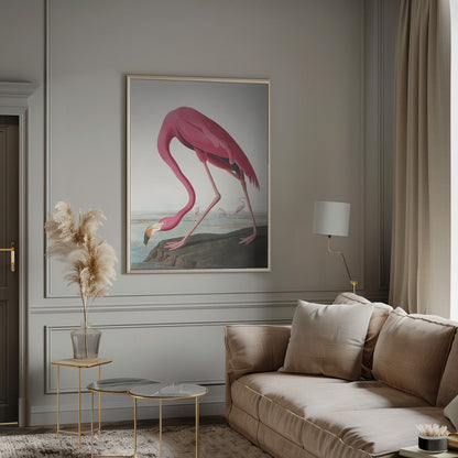Flamant Rose II de Birds of America (1827)