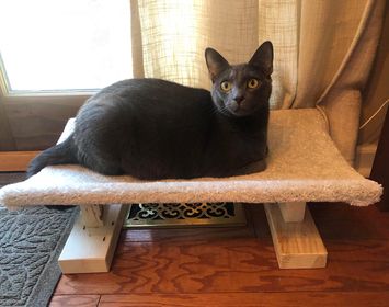 Model 38 - Over-Register Cat Bed