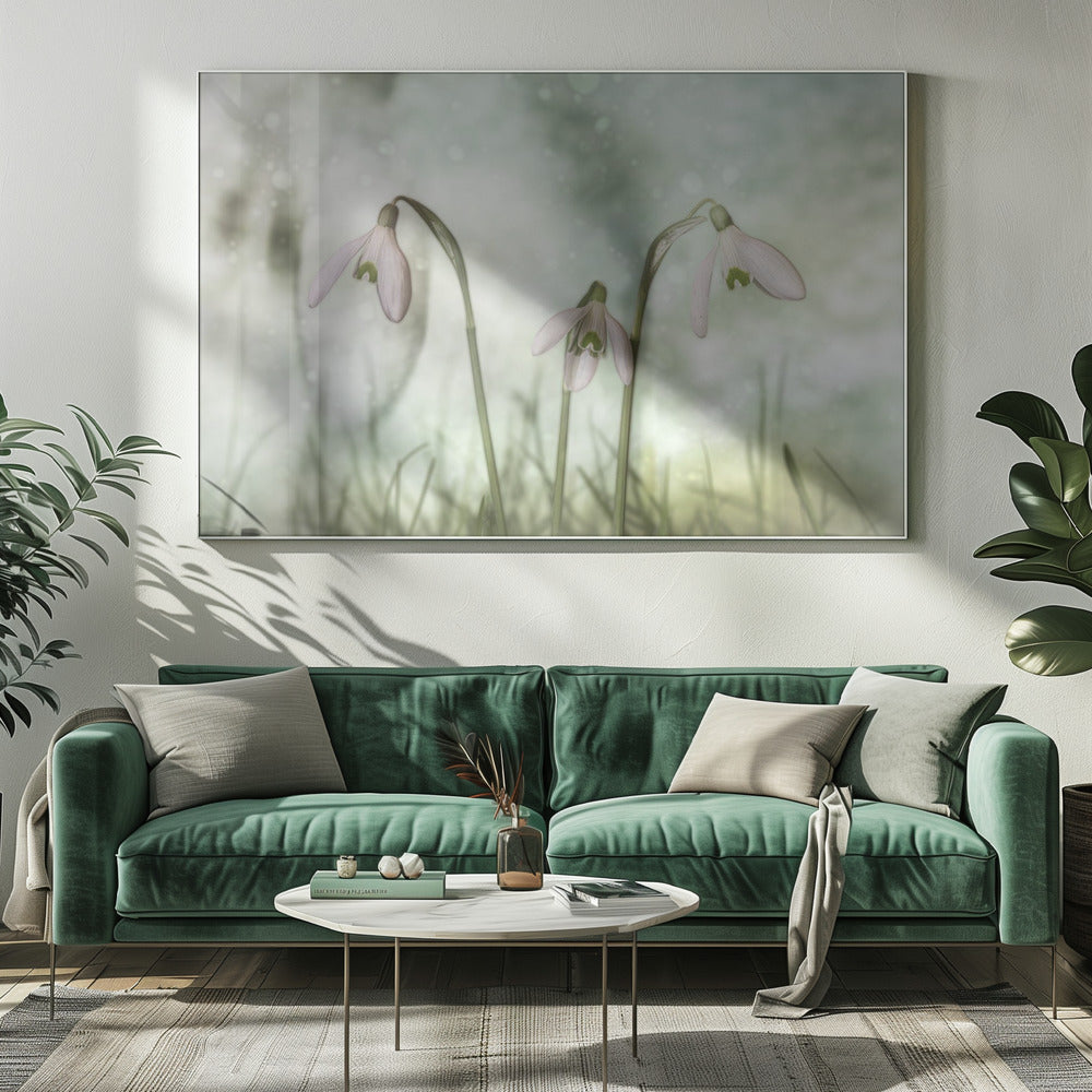 Trio d'art mural 2