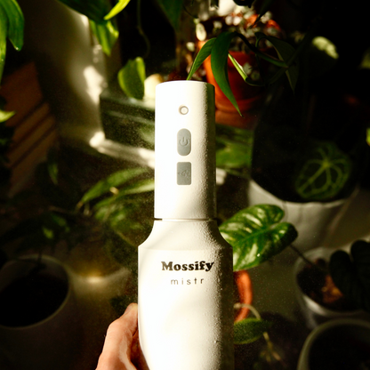 Le brumisateur Original Mossify™