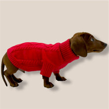 Red sweater with D-ring
