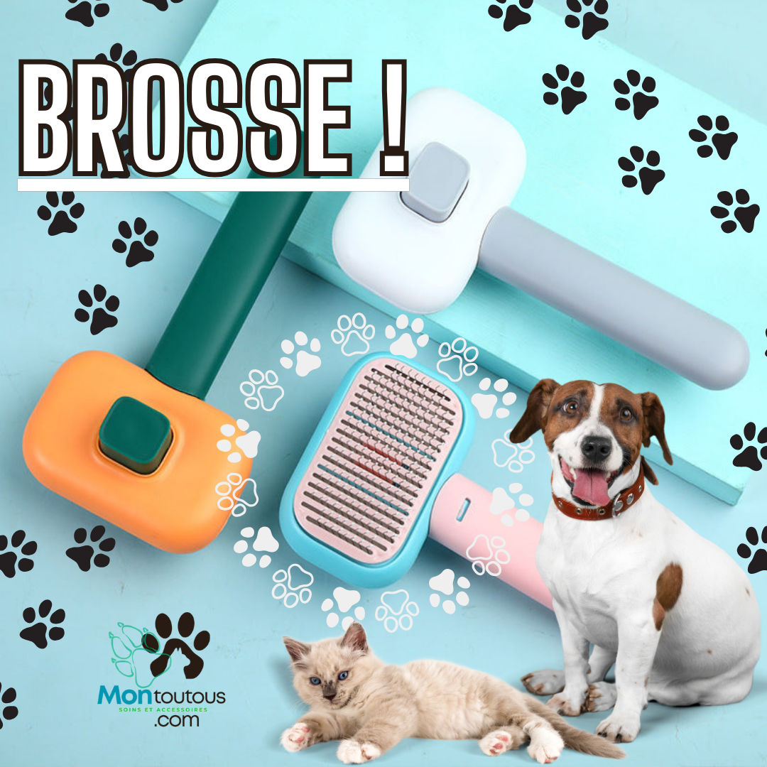 Orange and Green Grooming Brush – Final Sale
