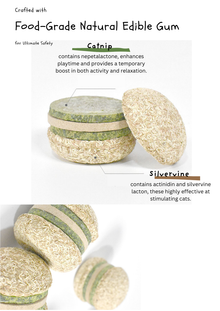 Hamburger à l'actinidia
