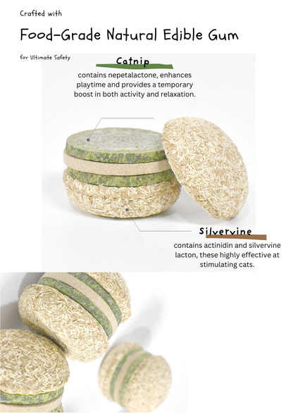 Hamburger à l'actinidia