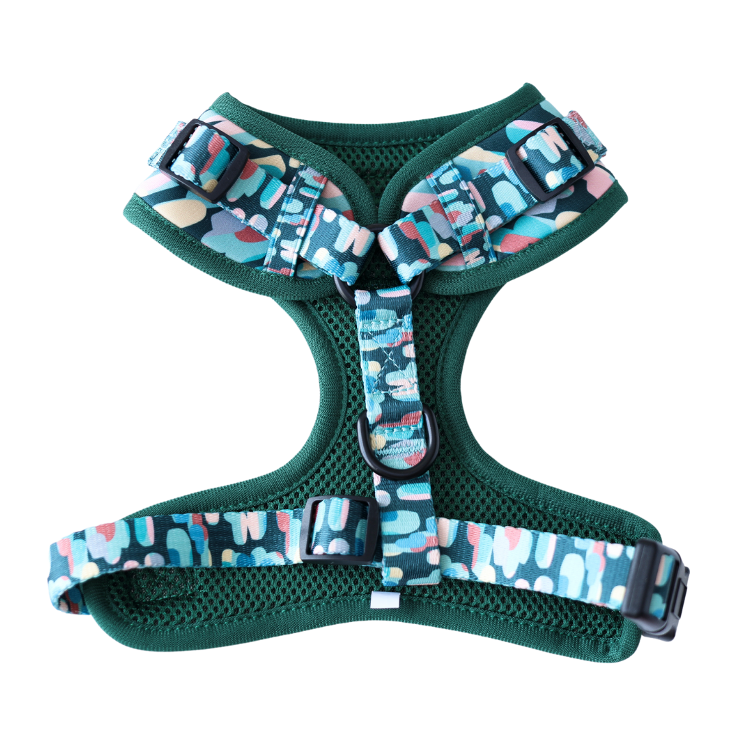 Harnais ajustable pour chien Amazônia Tribe | Lila Pawtique
