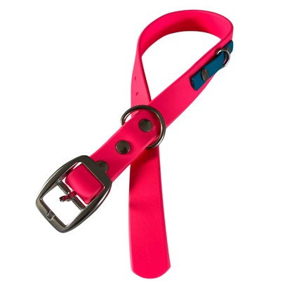 Biothane dog collar - Handmade in Quebec