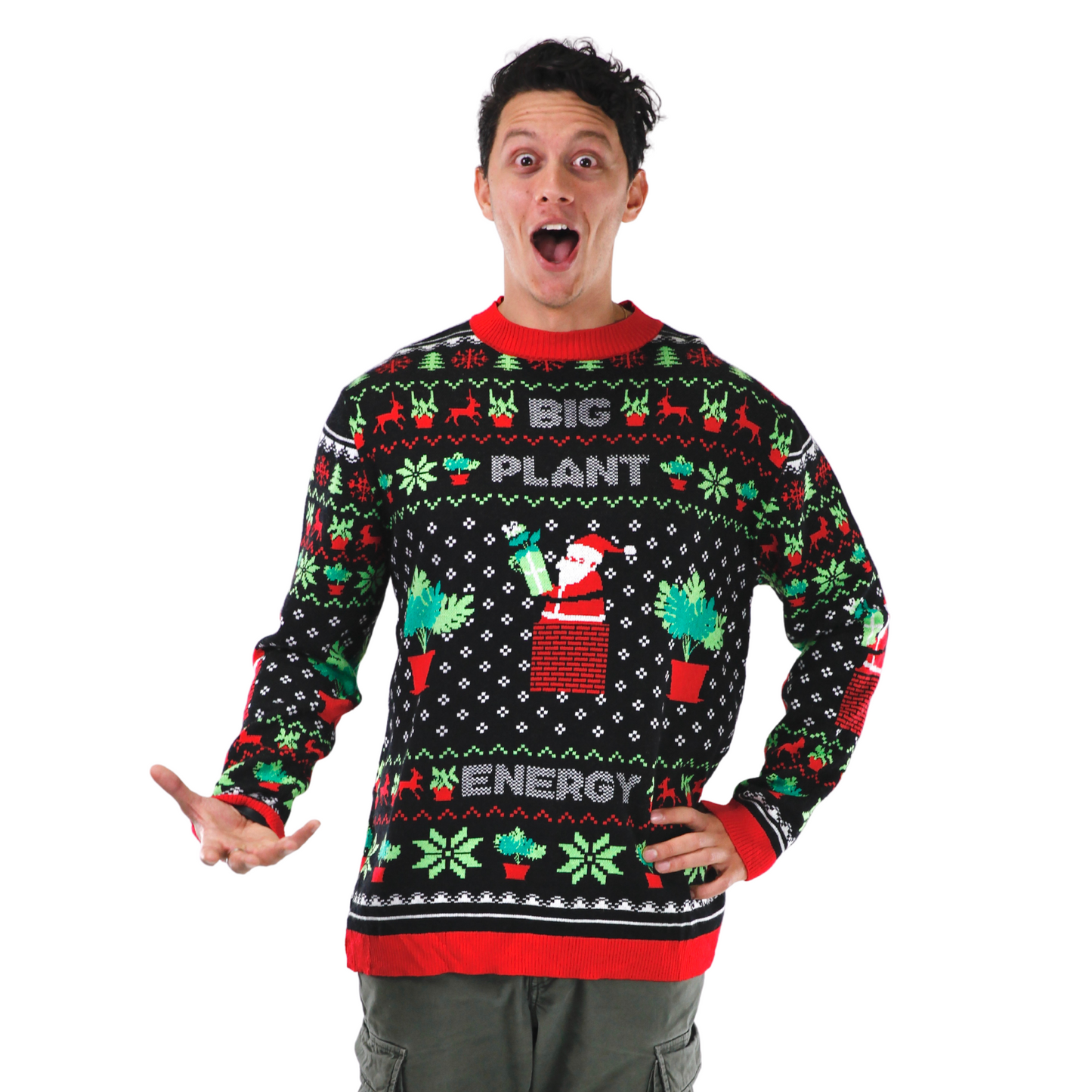 L'ÉNERGIE DES GRANDES PLANTES - Le pull de Noël moche
