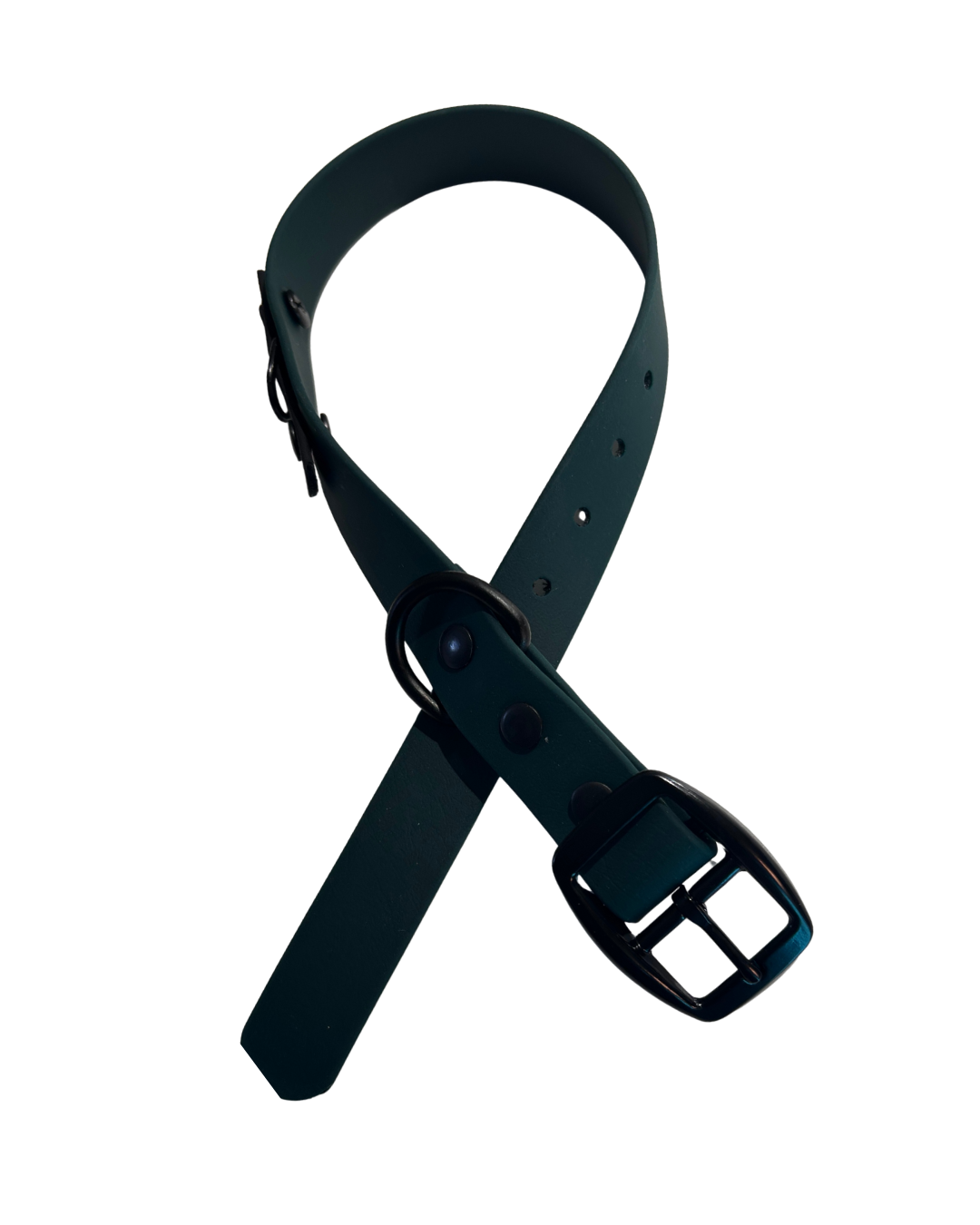Biothane dog collar - Handmade in Quebec